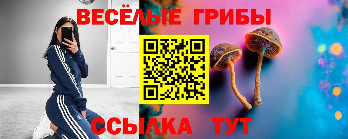 Абакан  Галлюциногенные грибы GOLDEN TEACHER  Вход с VPN 